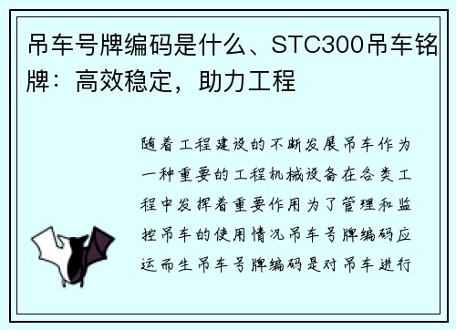 吊车号牌编码是什么、STC300吊车铭牌：高效稳定，助力工程