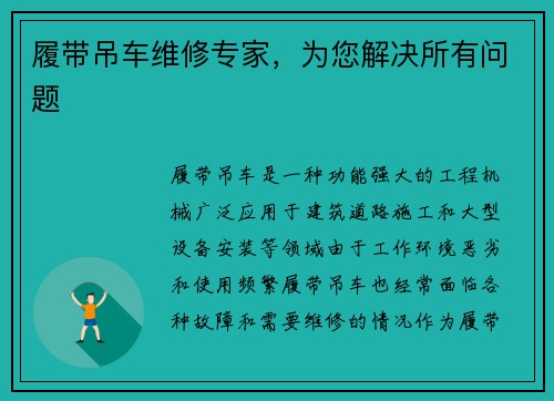 履带吊车维修专家，为您解决所有问题